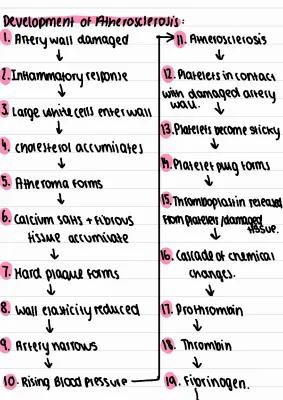 Know blood pathways and atherosclerosis  thumbnail