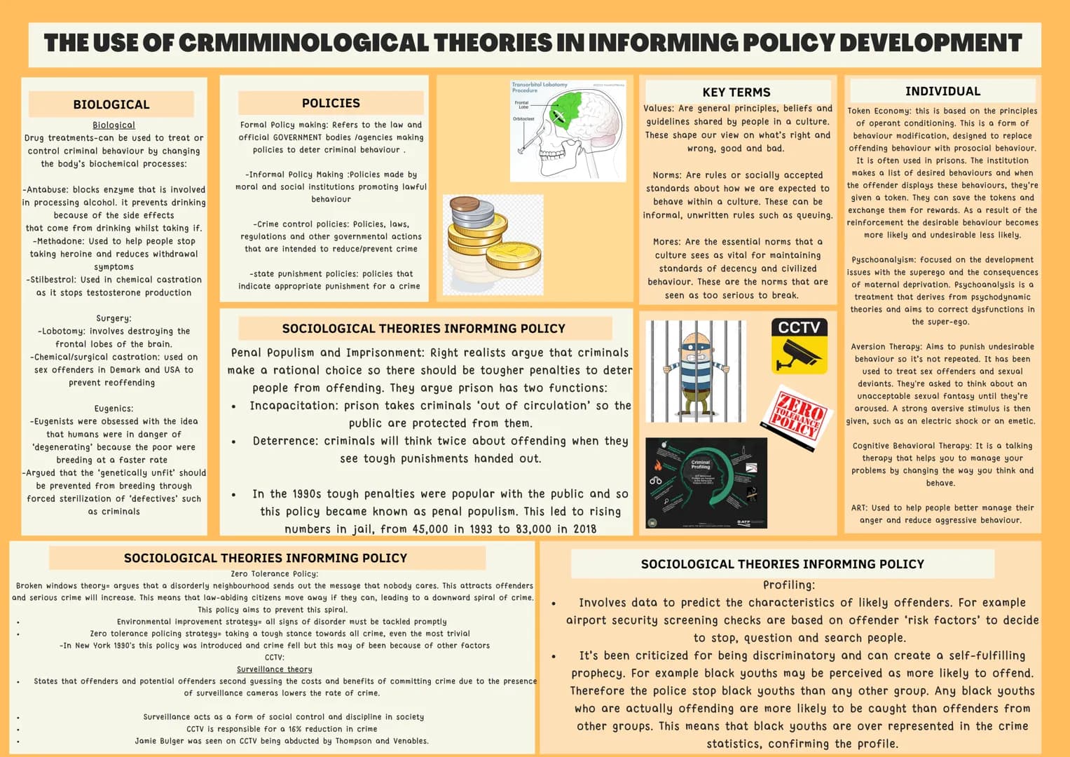 THE USE OF CRMIMINOLOGICAL THEORIES IN INFORMING POLICY DEVELOPMENT
BIOLOGICAL
Biological
Drug treatments-can be used to treat or
control cr