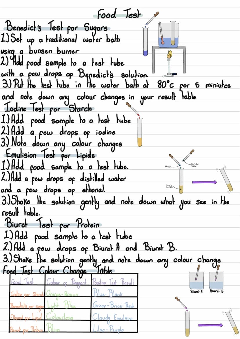 
<h2 id="microscopy">Microscopy</h2>
<h3 id="typesofmicroscopy">Types of Microscopy</h3>
<p>Microscopy is the study of small objects using a
