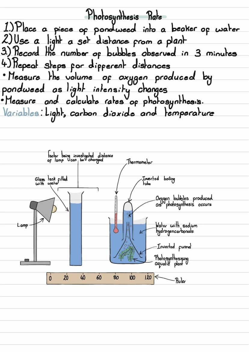 
<h2 id="microscopy">Microscopy</h2>
<h3 id="typesofmicroscopy">Types of Microscopy</h3>
<p>Microscopy is the study of small objects using a