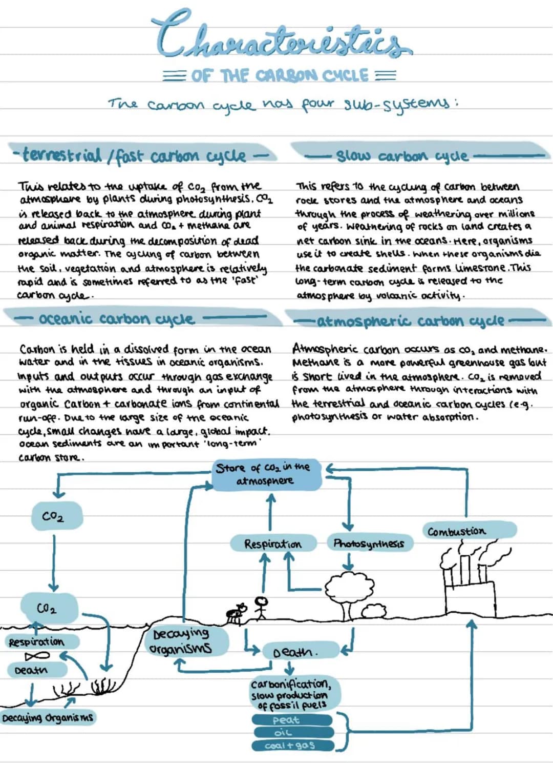 OCR A LEVEL GEOG.
Earths Life Support
Systems
WATER
> oceans moderate temperatures by
absorbing, storing and slowly releasing
heat.
JATED AN