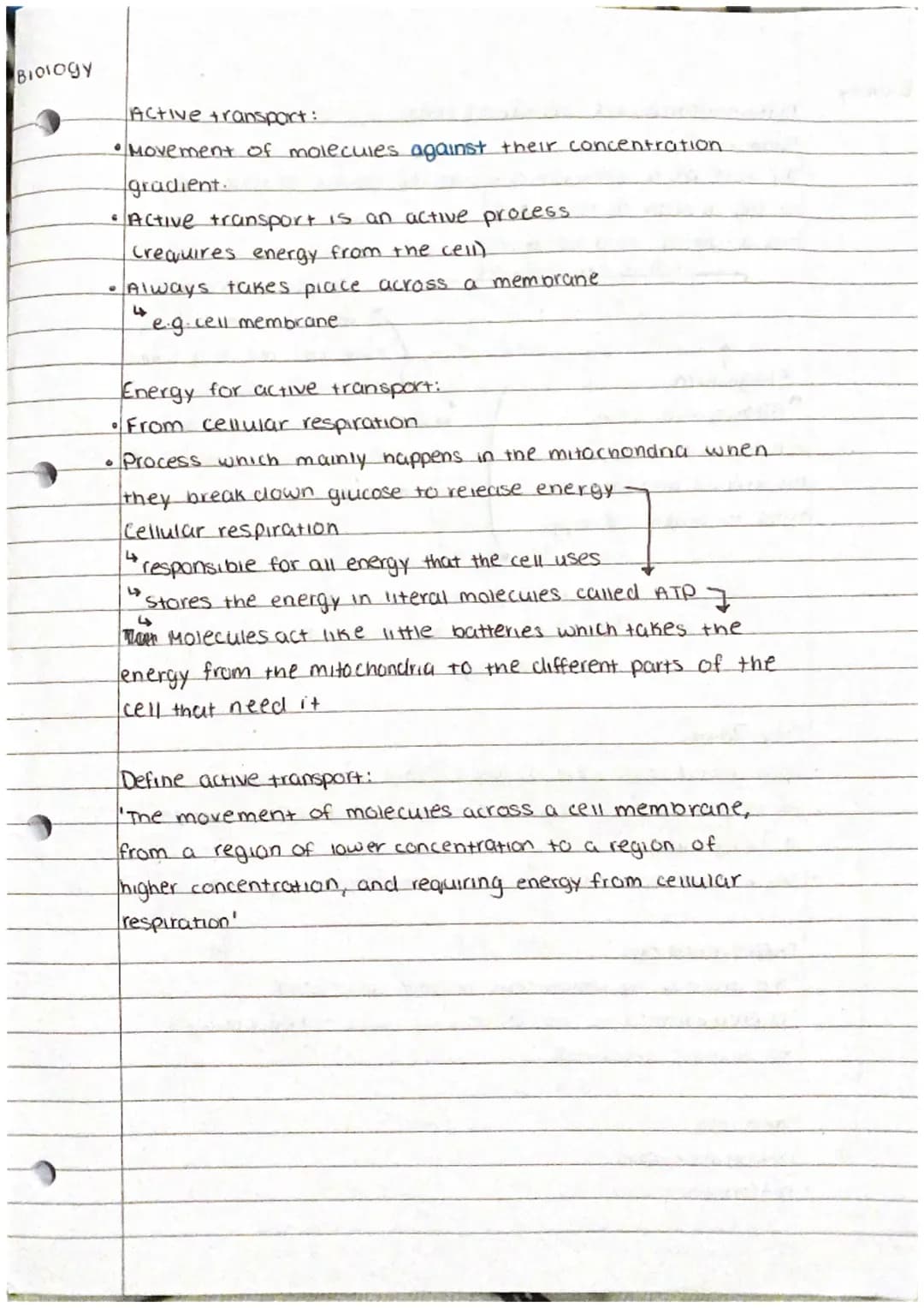 What is Active Transport in Biology? Examples and Types for Kids