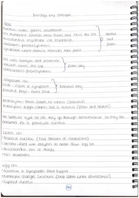 Know gcse key concepts thumbnail