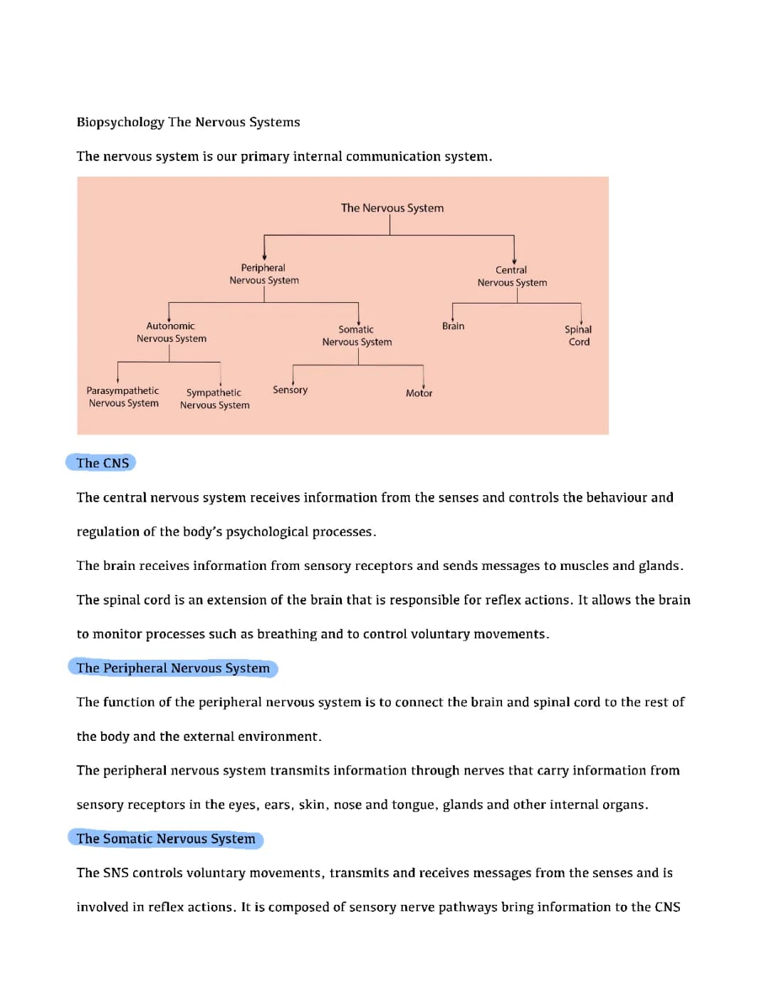 AQA A Level Psychology- Biopsychology Nervous Systems
