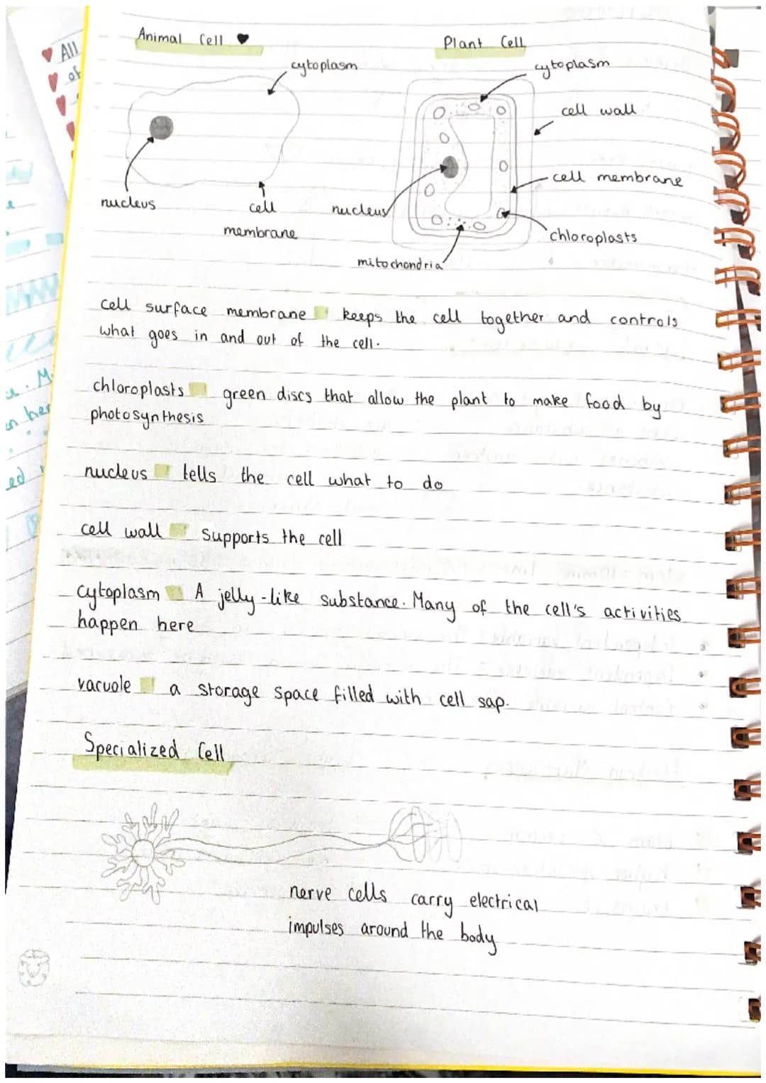 SCIENCE
Beaker U
test tube = V
:
gauze=
bunsen burner = hear
1.
xxxx
thermometer =
Density
g/cm ³
=
measuring cylinder.
tripod =
A
Conical f