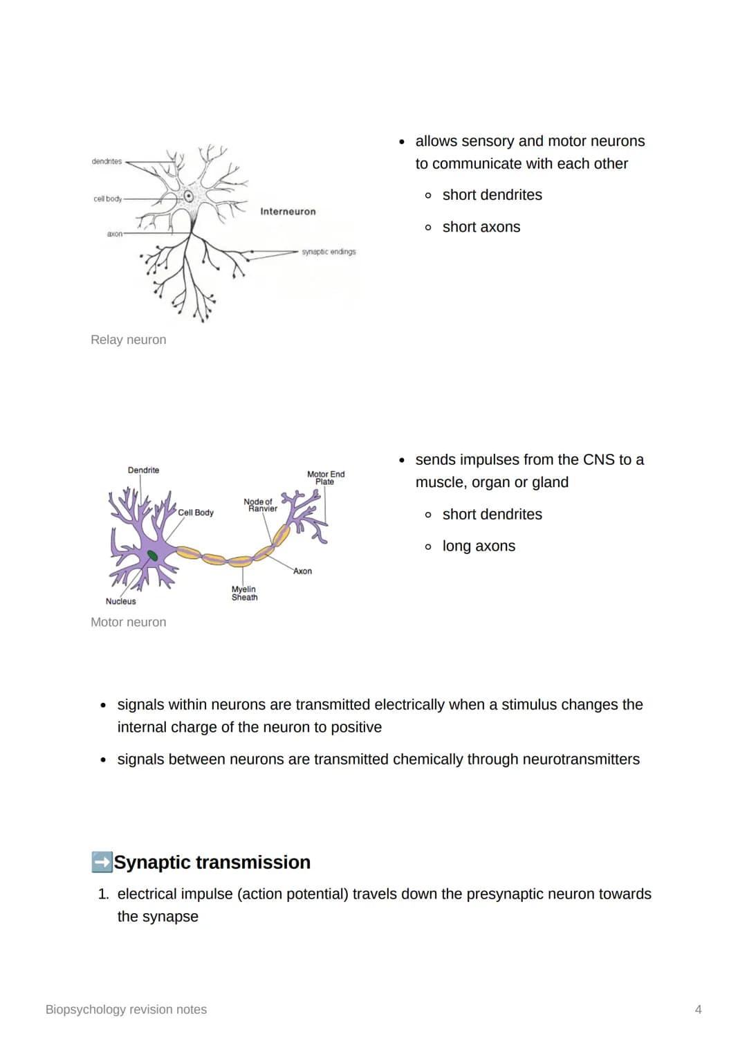 Biopsychology revision notes
●
The nervous system
human nervous system - a specialised network of cells making up our internal
communication