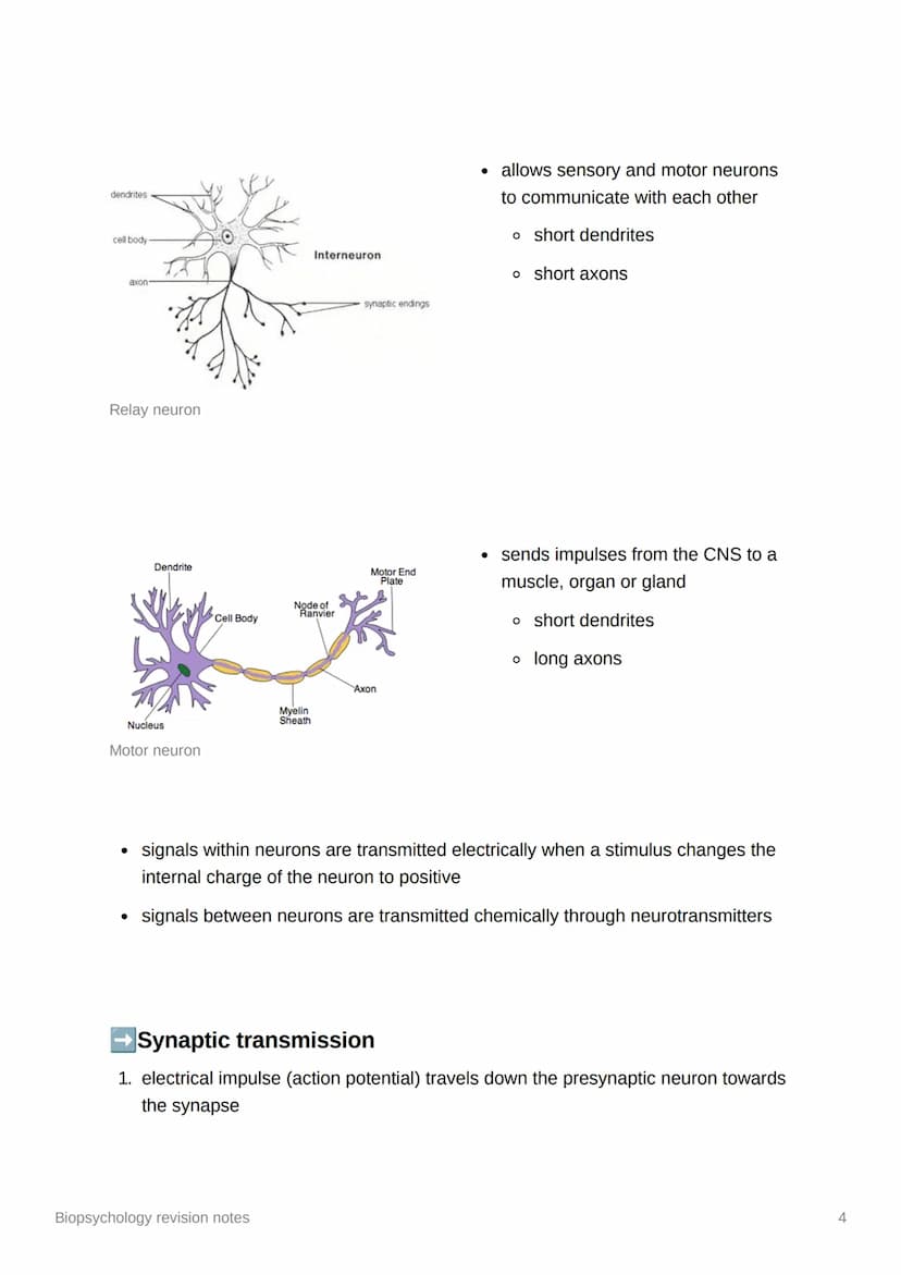 Biopsychology revision notes
●
The nervous system
human nervous system - a specialised network of cells making up our internal
communication