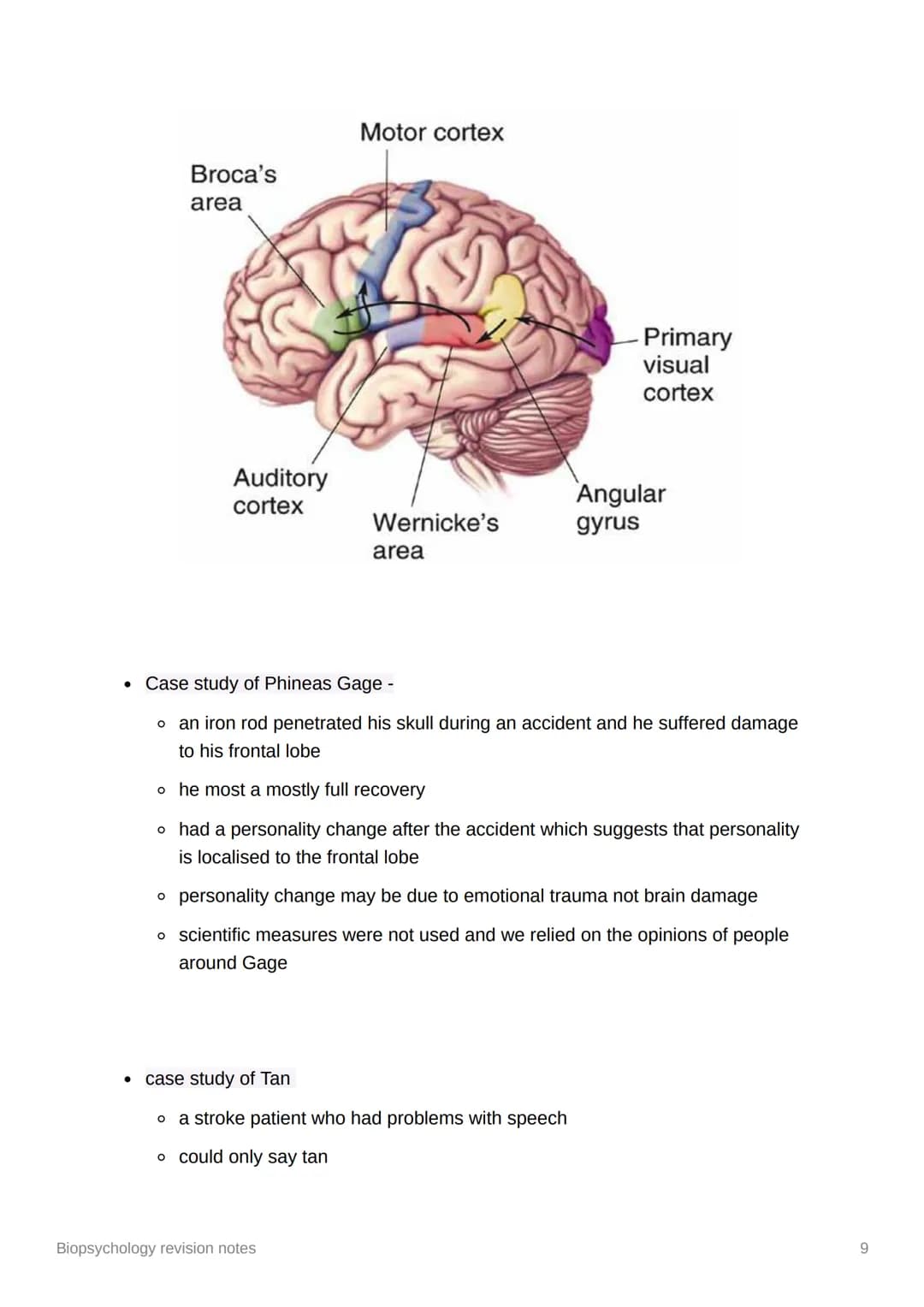 Biopsychology revision notes
●
The nervous system
human nervous system - a specialised network of cells making up our internal
communication