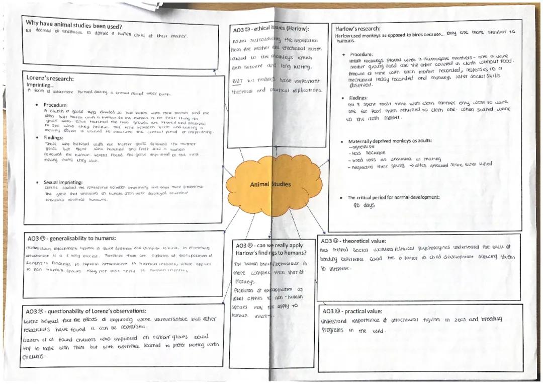 Attachment A3 Mindmap