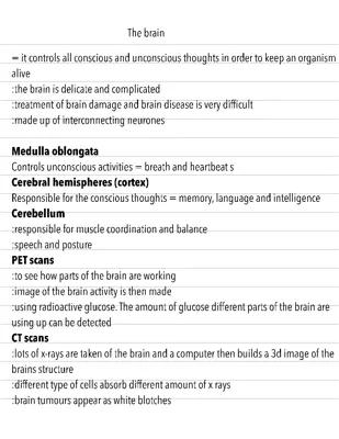 Know The brain gcse biology  thumbnail