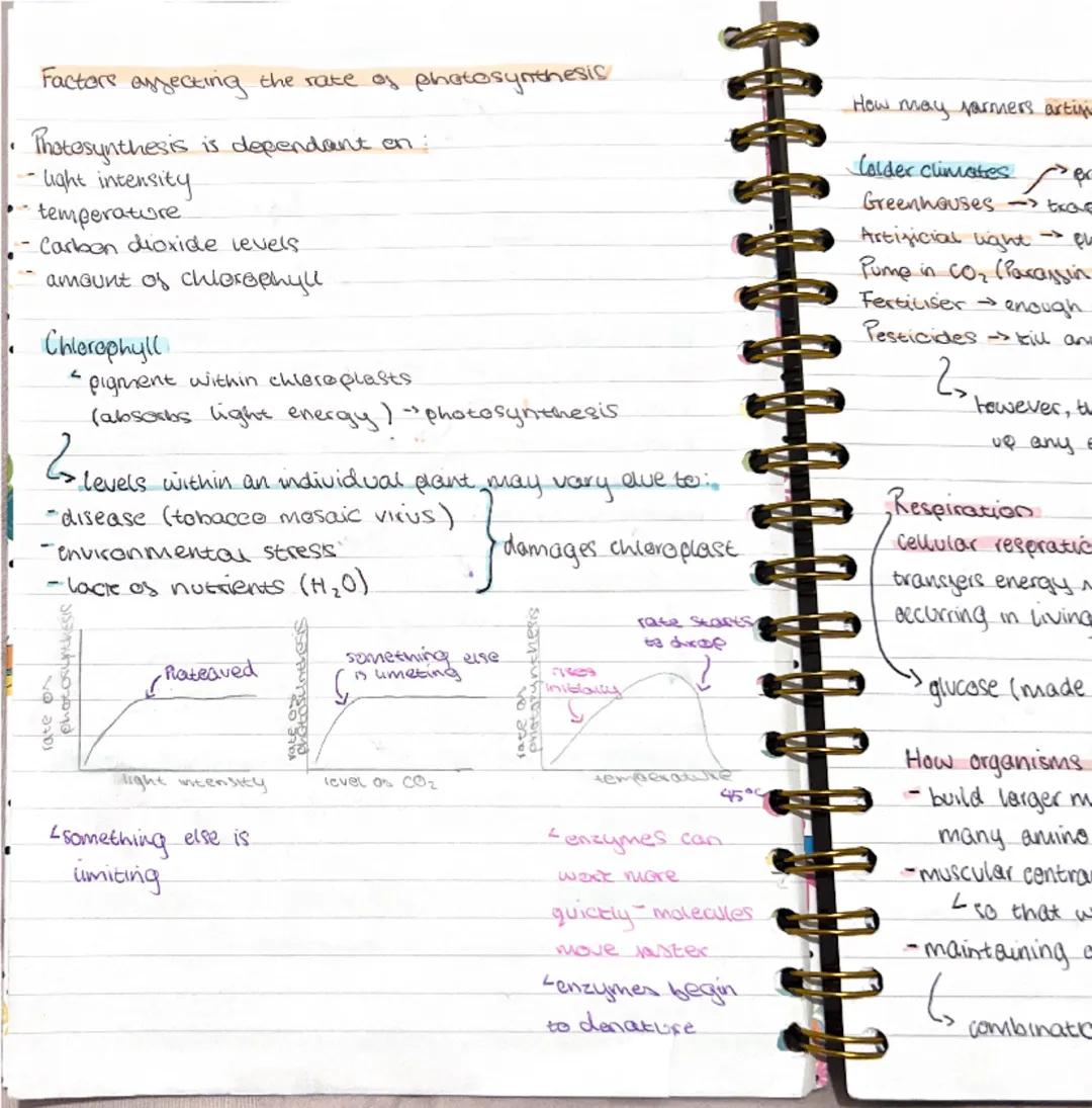 Photosynthesis

endothermic

Chloroplasts
<green pigment chlorophyll
(absoros light)

carbon dioxide + $H_2O$ $\rightarrow$ quicese + oxygen