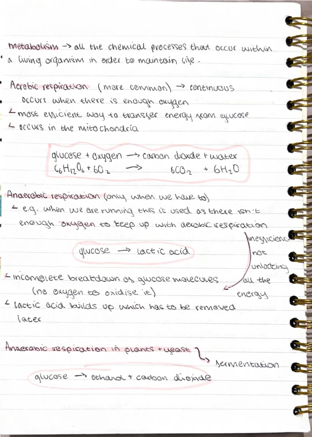 Photosynthesis

endothermic

Chloroplasts
<green pigment chlorophyll
(absoros light)

carbon dioxide + $H_2O$ $\rightarrow$ quicese + oxygen