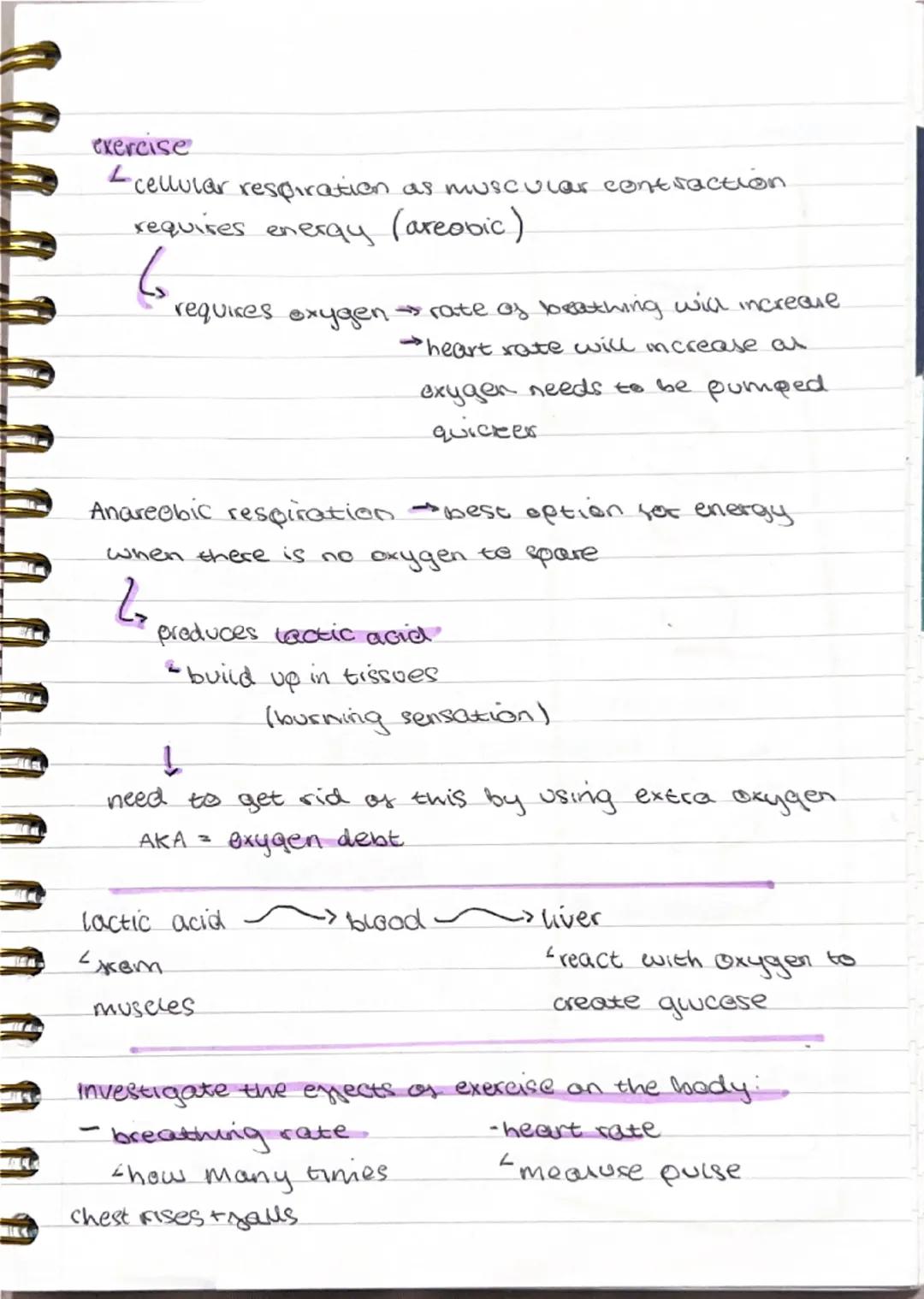 Photosynthesis

endothermic

Chloroplasts
<green pigment chlorophyll
(absoros light)

carbon dioxide + $H_2O$ $\rightarrow$ quicese + oxygen