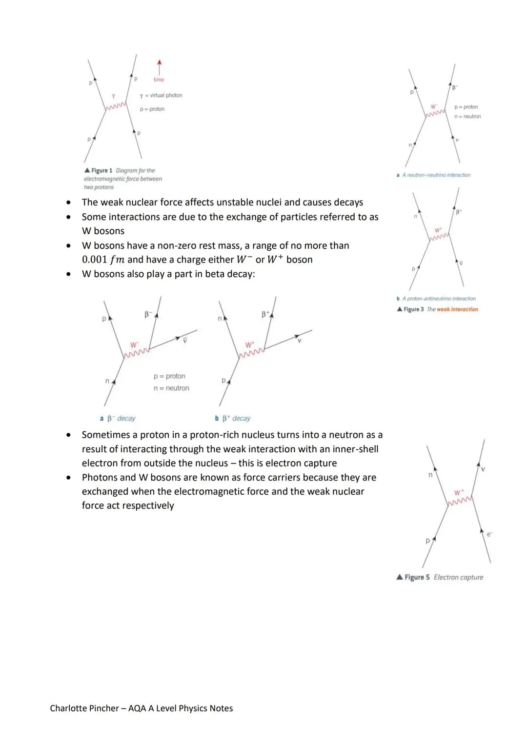 Particles and Radiation Notes
Matter and Radiation
Atoms are composed of a positively charged nucleus (protons and neutrons) surrounded
by e