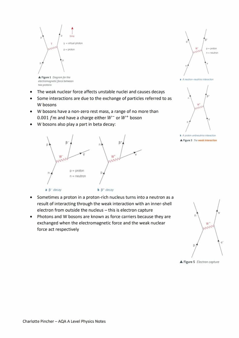 Particles and Radiation Notes
Matter and Radiation
Atoms are composed of a positively charged nucleus (protons and neutrons) surrounded
by e