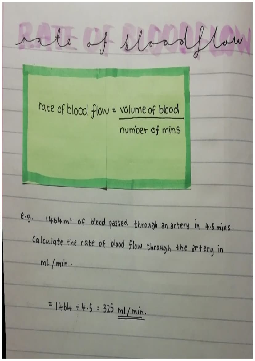 THE HEART
Circulatory system :
blood / heart / blood vessels.
Double circulatory system. de oxgyenated & oxgynate blood
(to and from heart)
