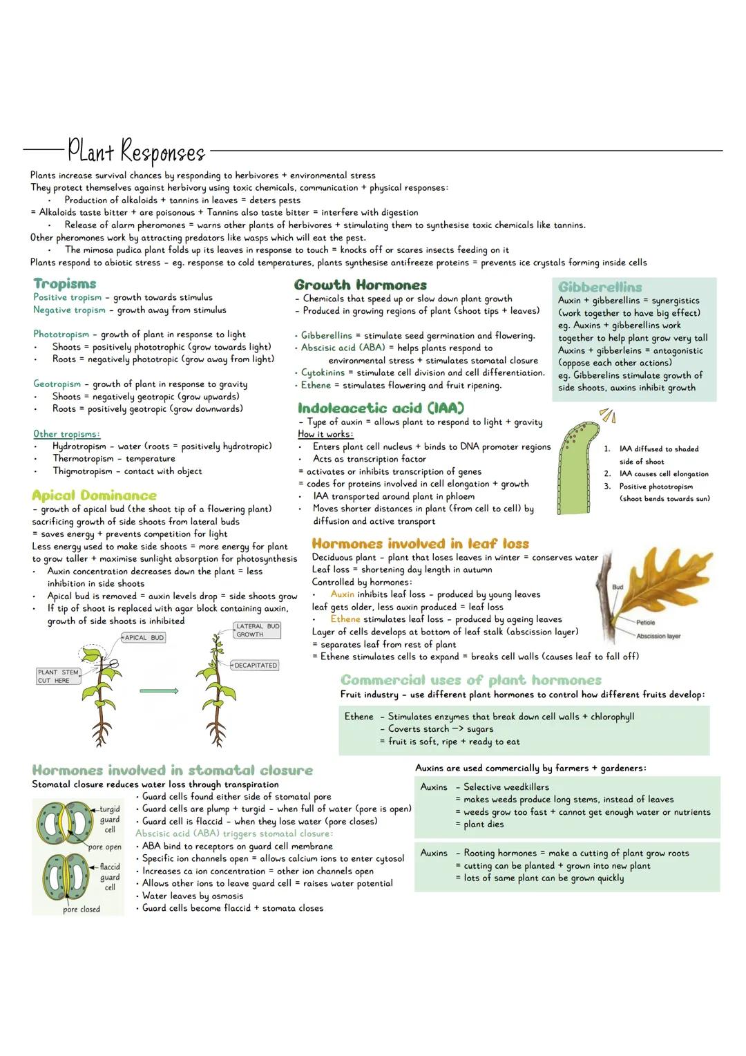 Biology Plant Responses Revision Notes