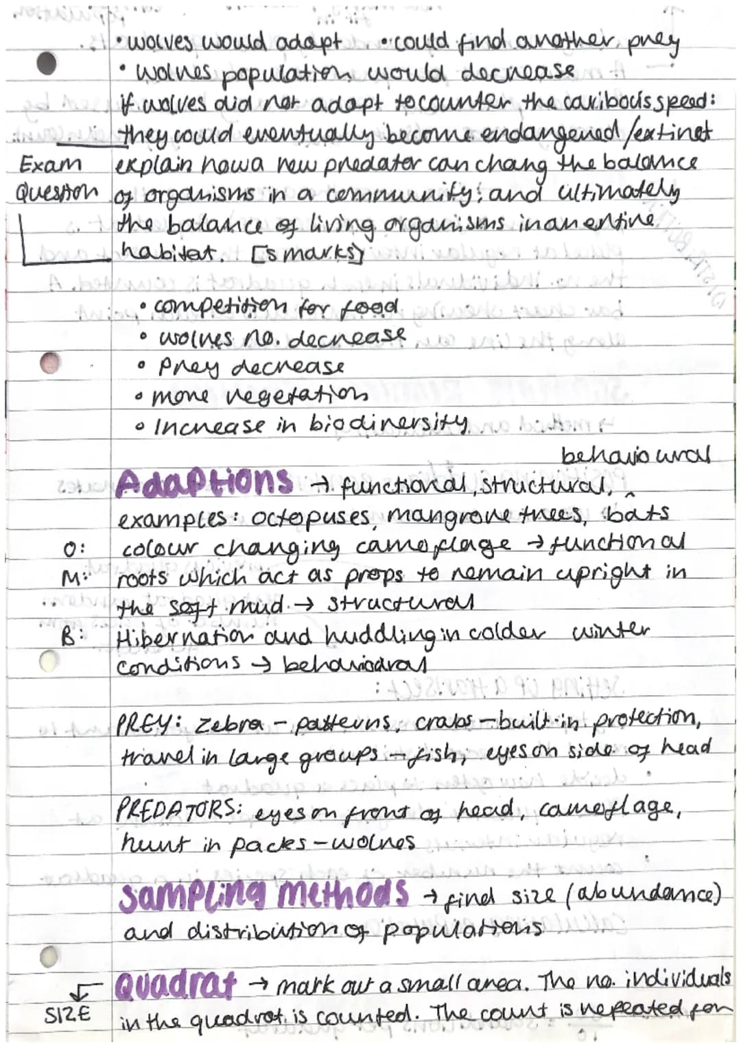 Biology
combined science
0
O
chain
ECOLOGY
Producers.
→ Photosynthetic organisms (Plants)
↳ produce their own food and energy.
(algae)
Level