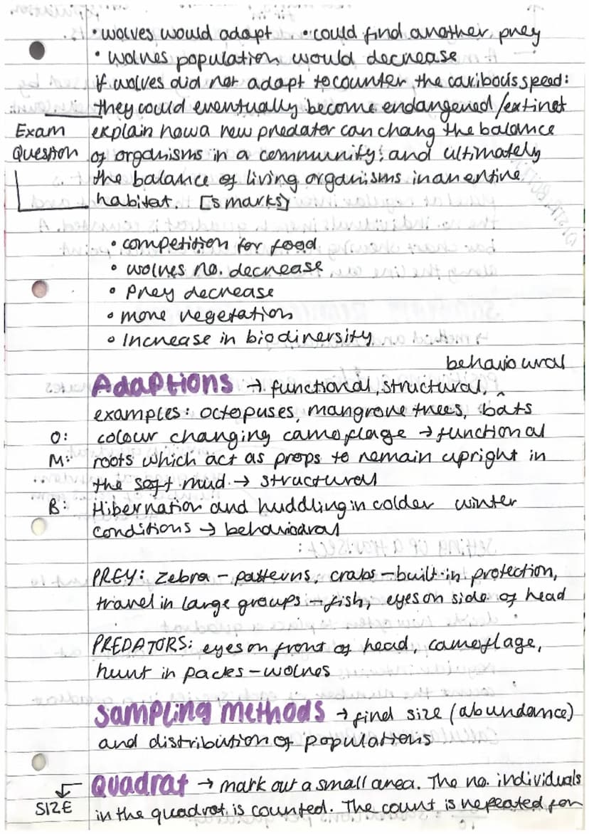 Biology
combined science
0
O
chain
ECOLOGY
Producers.
→ Photosynthetic organisms (Plants)
↳ produce their own food and energy.
(algae)
Level