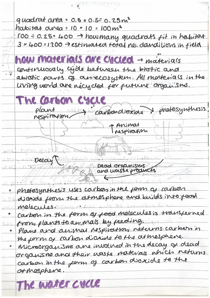 Biology
combined science
0
O
chain
ECOLOGY
Producers.
→ Photosynthetic organisms (Plants)
↳ produce their own food and energy.
(algae)
Level