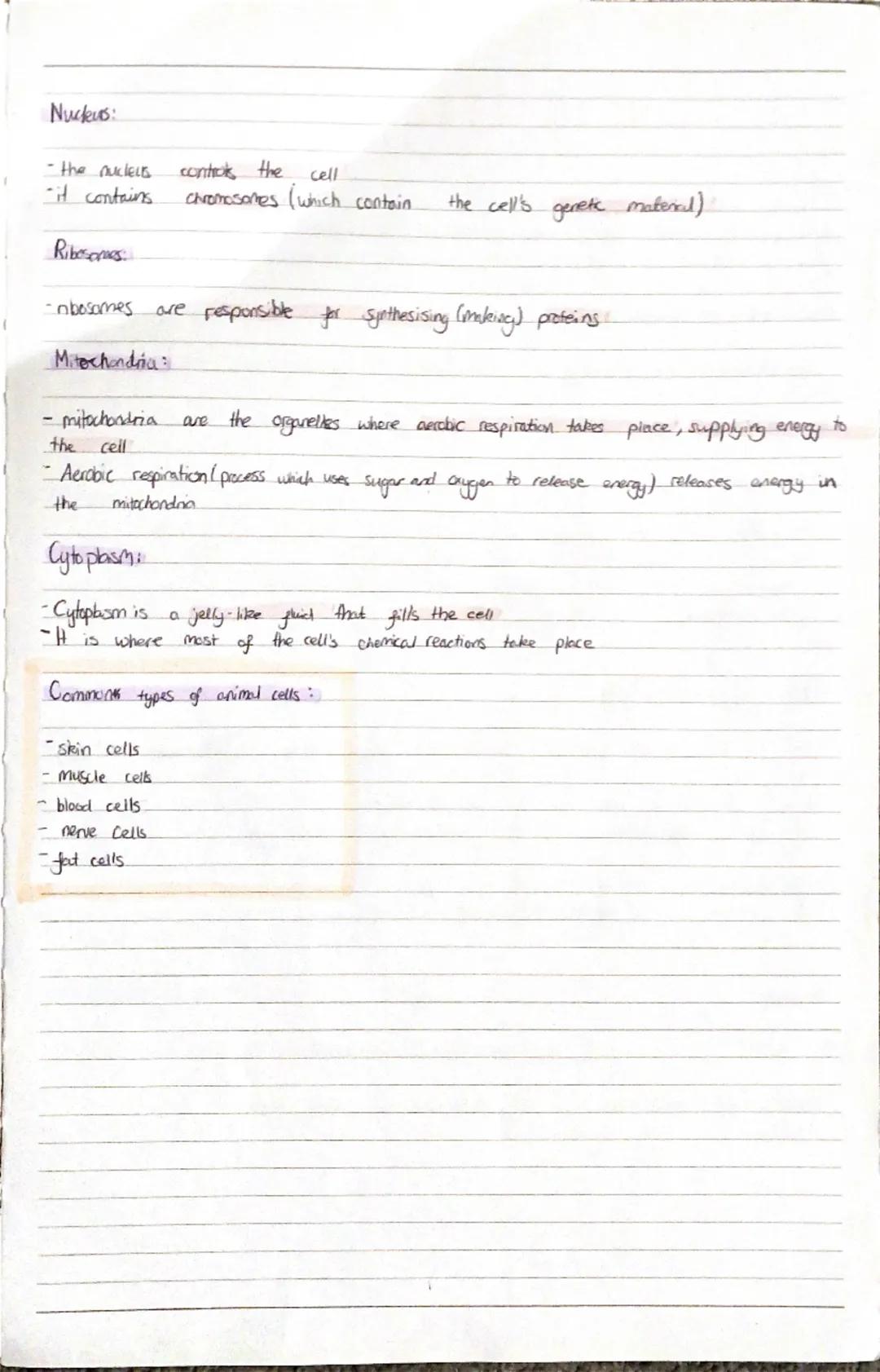 2:
Plant Cell Organelles:
Phnt Cells have all the same parts as anal cells, but they also have a
few extra organelles.
Cell wall:
-the cell 