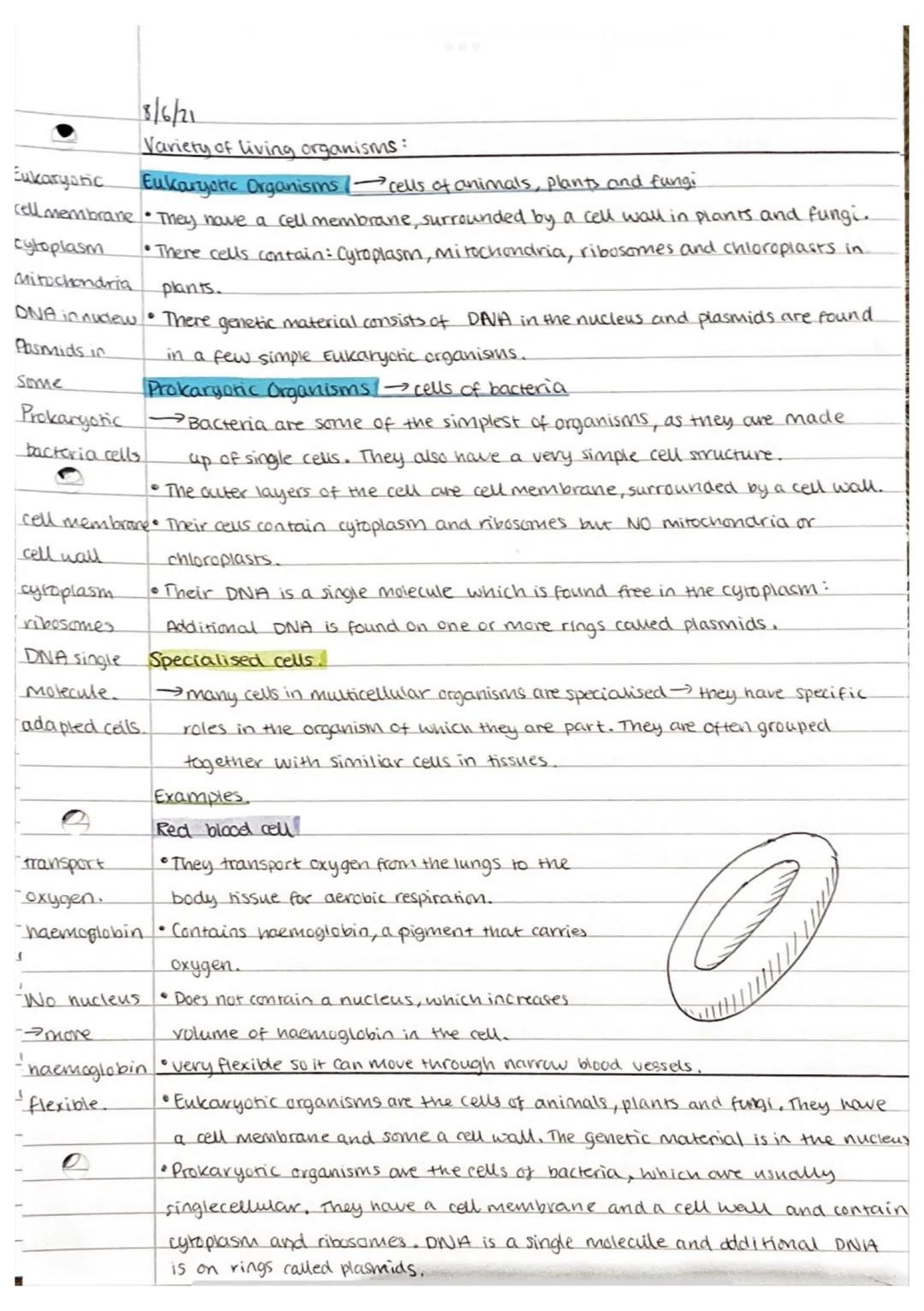8/6/21
Variety of living organisms:
Fungi
Multicellular • They are multicellular (yeast is an example of a single-celled fungi)
Mycelium •Th
