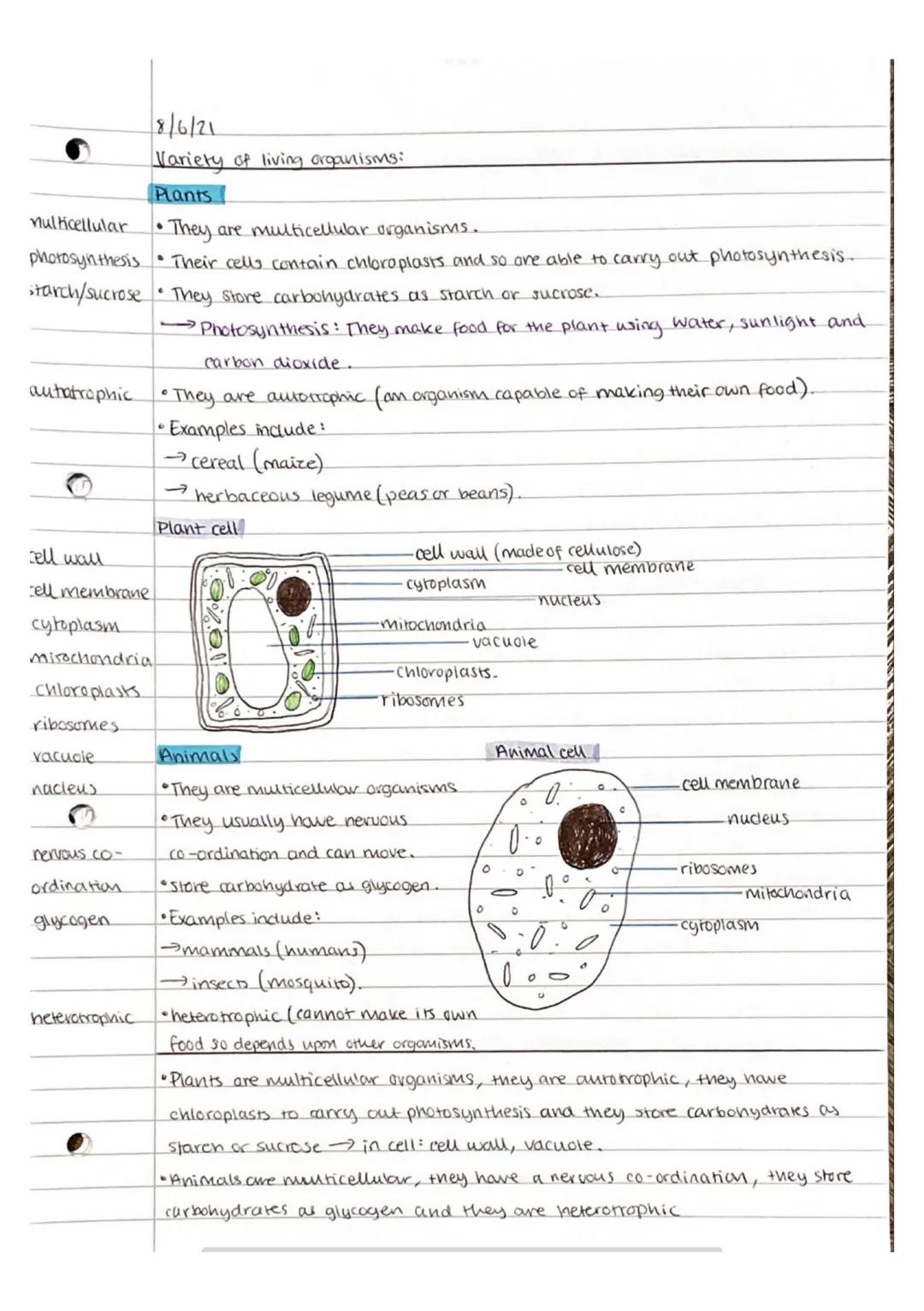 8/6/21
Variety of living organisms:
Fungi
Multicellular • They are multicellular (yeast is an example of a single-celled fungi)
Mycelium •Th