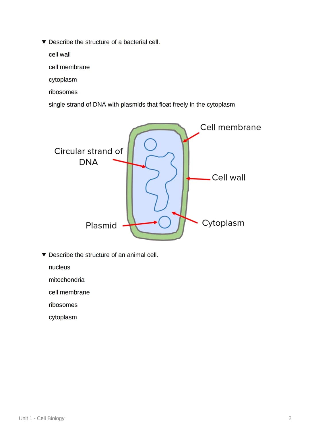 Unit 1-Cell Biology
Eukaryotic Cells and Organelles
▾ What is a eukaryotic cell?
a cell that contains its genetic material in a nucleus
What