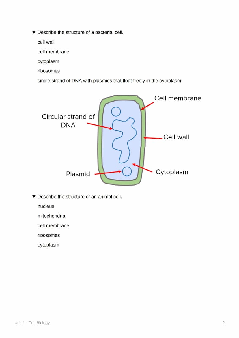 Unit 1-Cell Biology
Eukaryotic Cells and Organelles
▾ What is a eukaryotic cell?
a cell that contains its genetic material in a nucleus
What
