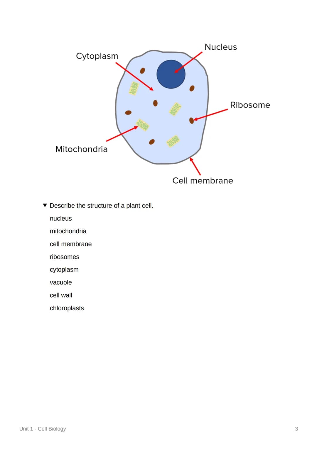 Unit 1-Cell Biology
Eukaryotic Cells and Organelles
▾ What is a eukaryotic cell?
a cell that contains its genetic material in a nucleus
What
