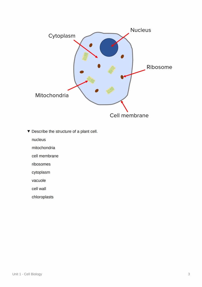Unit 1-Cell Biology
Eukaryotic Cells and Organelles
▾ What is a eukaryotic cell?
a cell that contains its genetic material in a nucleus
What