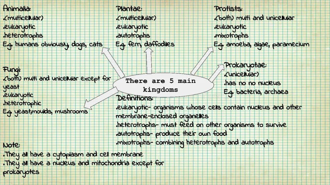 Classification and Kingdoms