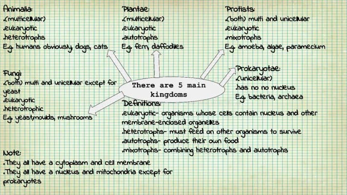 Know Classification and Kingdoms thumbnail