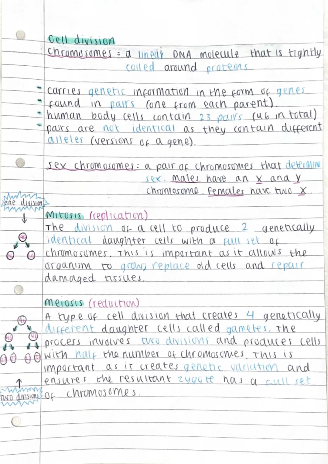 Makan
Zone divisio
↓
40
Cell division
chromosomes = a linear DNA molecule that is tightly
called around proteins.
↑
www
carries genetic info