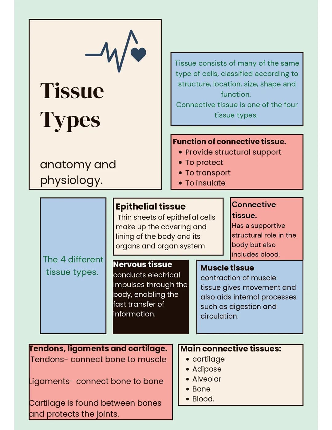 health and social care unit 3- types if tissue. 