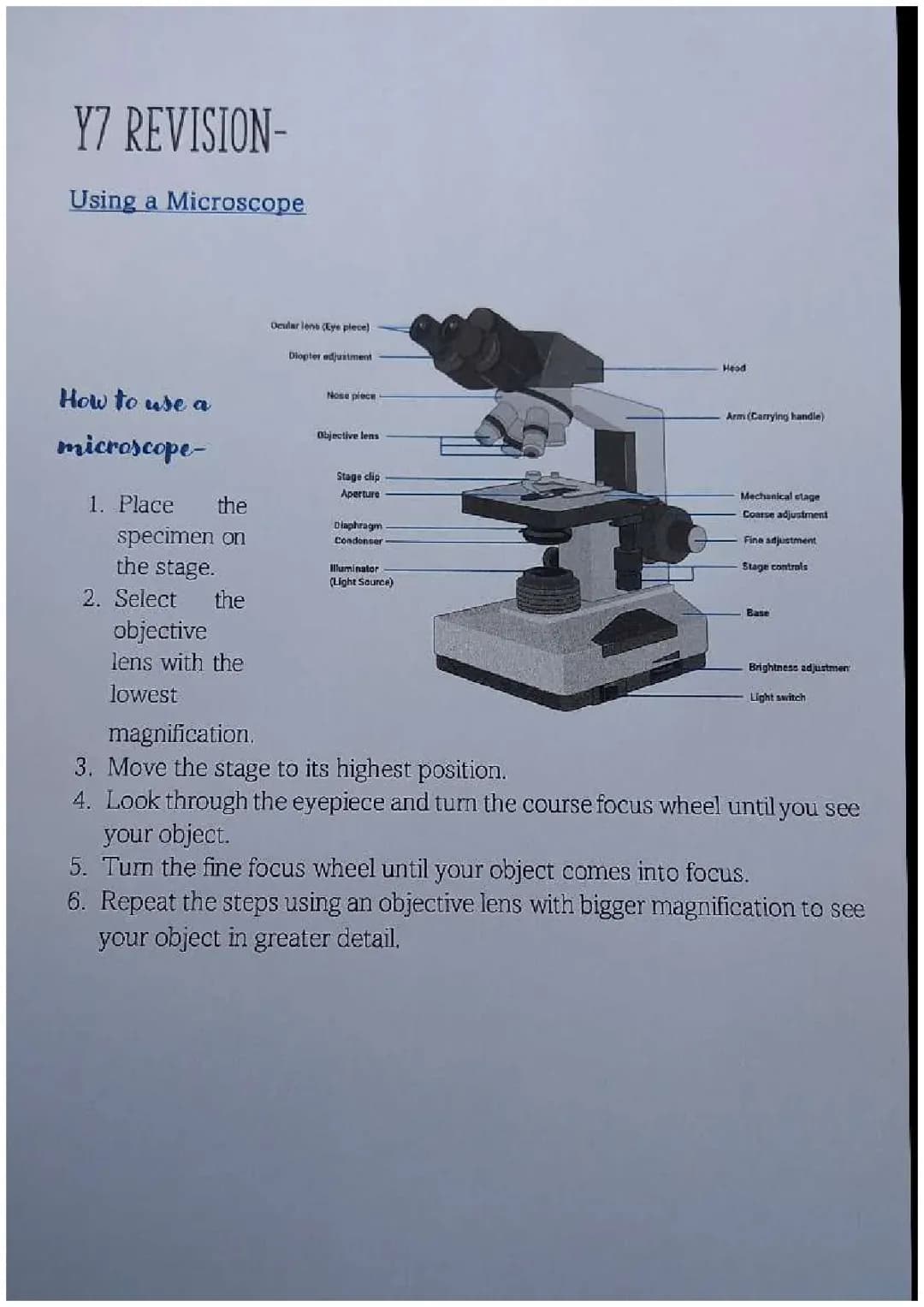 Using a Microscope