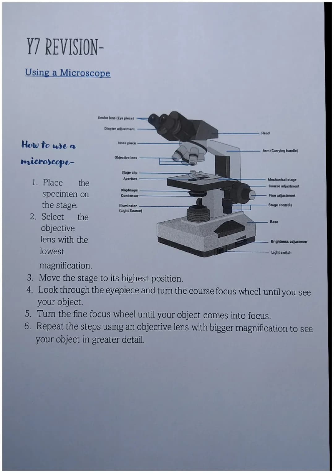 Y7 REVISION-
Using a Microscope
How to use a
microscope-
1. Place the
specimen on
the stage.
2. Select the
objective
lens with the
lowest
Oc