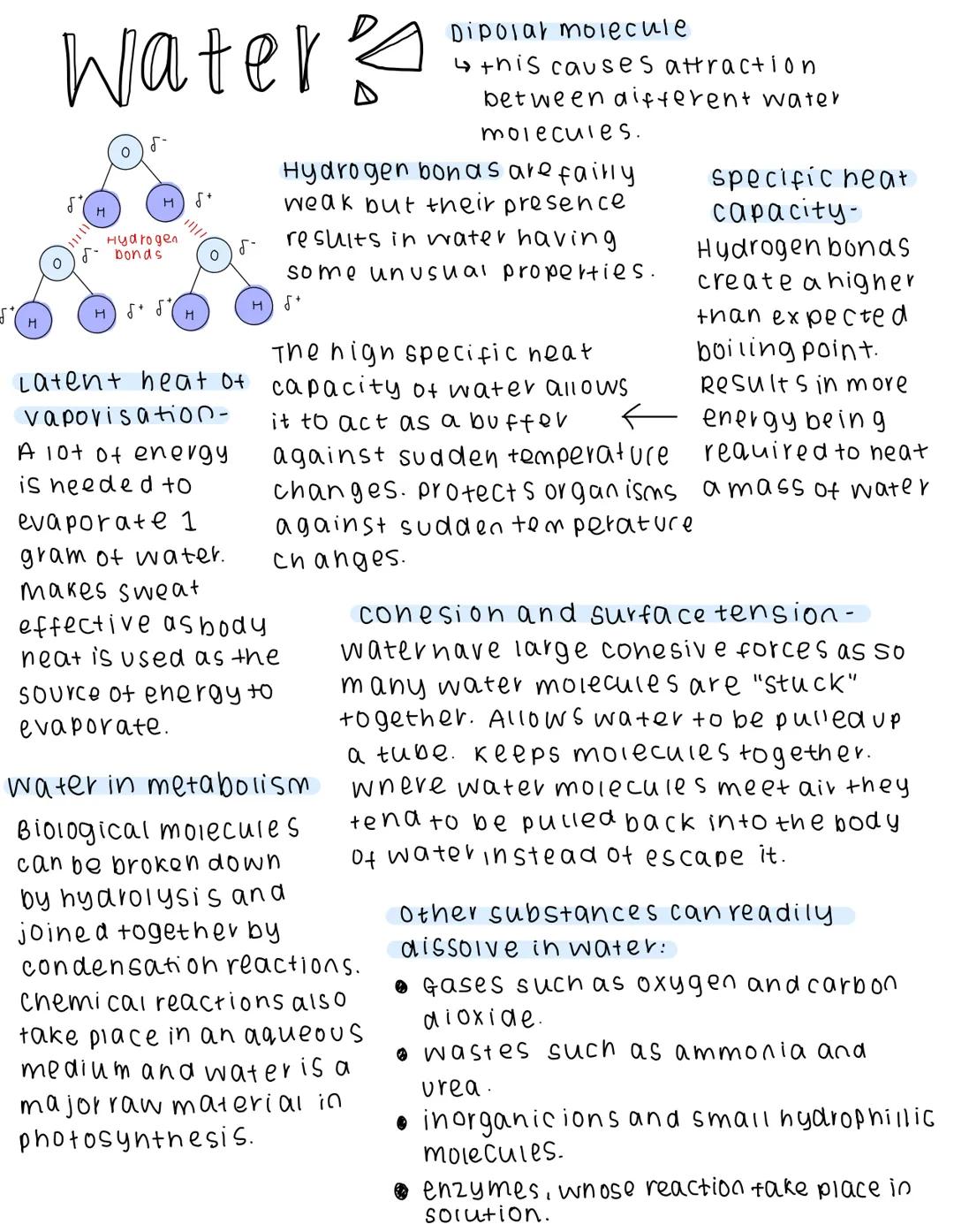 S
H
Water's
н
H
Hydrogen
5 bonds
H
S+
////
H
O
5-
H
S+
Dipolar molecule
↳ this causes attraction
Hydrogen bon as are failly
weak but their p