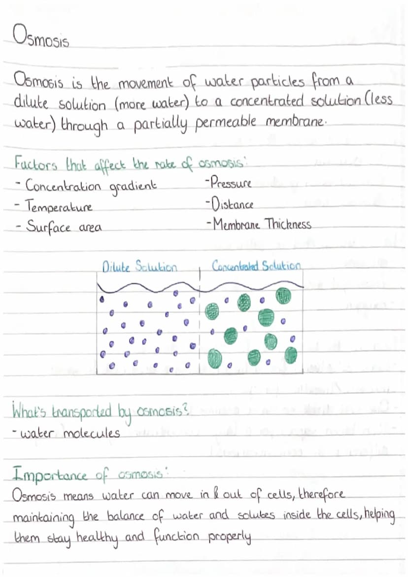 Diffusion
Diffusion is the movement of particles from. an area of high
concentration to an area of low concentration.
• Factors that affect 