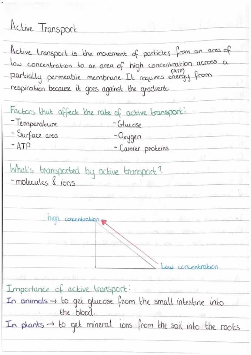 Diffusion
Diffusion is the movement of particles from. an area of high
concentration to an area of low concentration.
• Factors that affect 