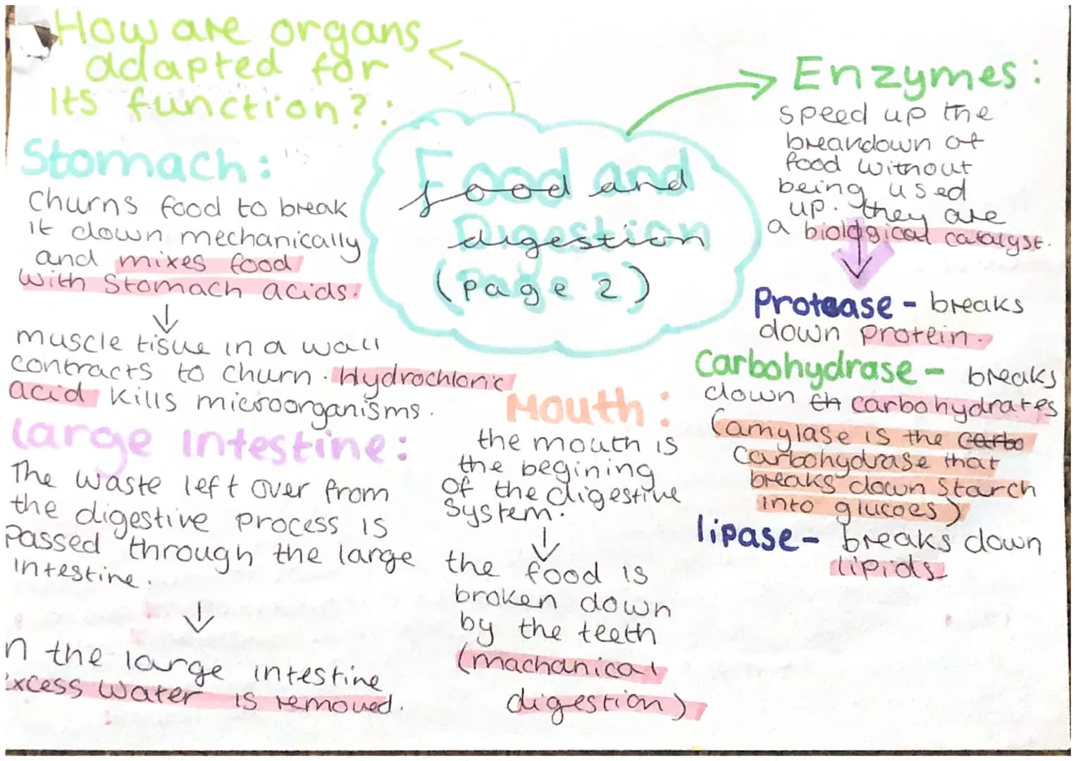 Food tests:
Starch: lodine.
caour change is
Starch is present
glycerol red/brown 4> black-
$3 fatty acids
lipids
lipids are made of
Smaller 