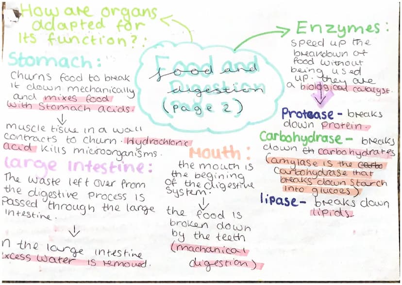 Food tests:
Starch: lodine.
caour change is
Starch is present
glycerol red/brown 4> black-
$3 fatty acids
lipids
lipids are made of
Smaller 