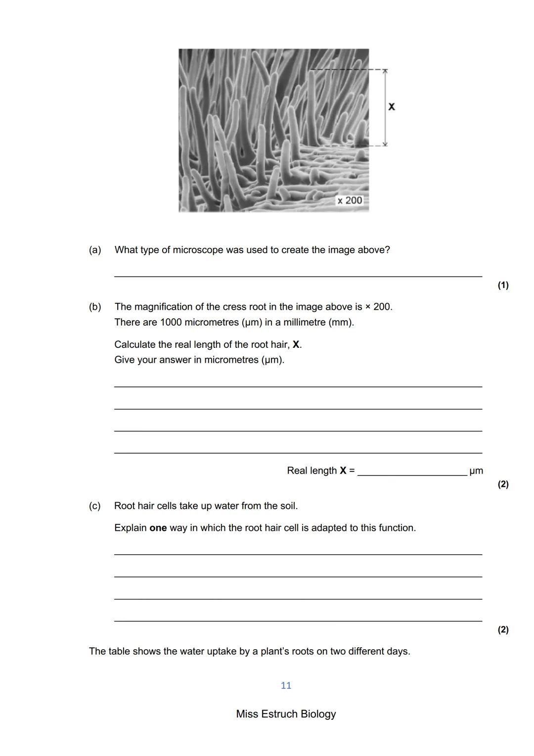 Exams 2022
GCSE Biology Higher Tier Paper 1
156 marks
miss
ESTRUCH
BIOLOGY
1
Miss Estruch Biology Q1.
This question is about cells.
(a) Figu