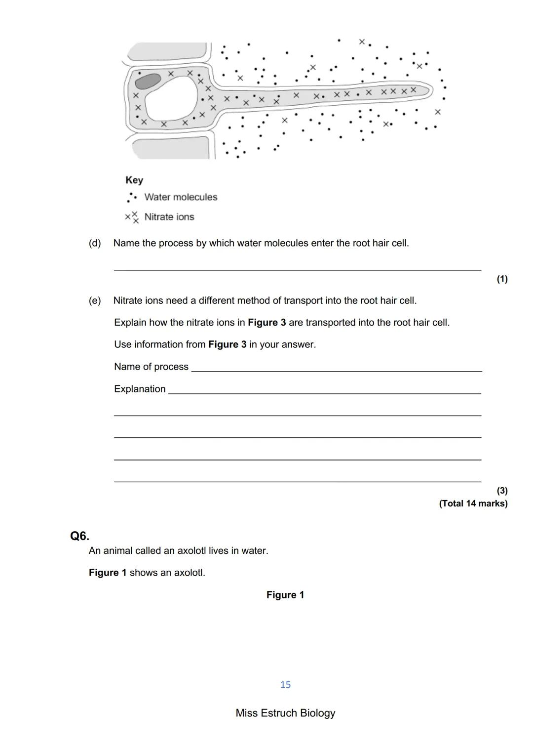 Exams 2022
GCSE Biology Higher Tier Paper 1
156 marks
miss
ESTRUCH
BIOLOGY
1
Miss Estruch Biology Q1.
This question is about cells.
(a) Figu