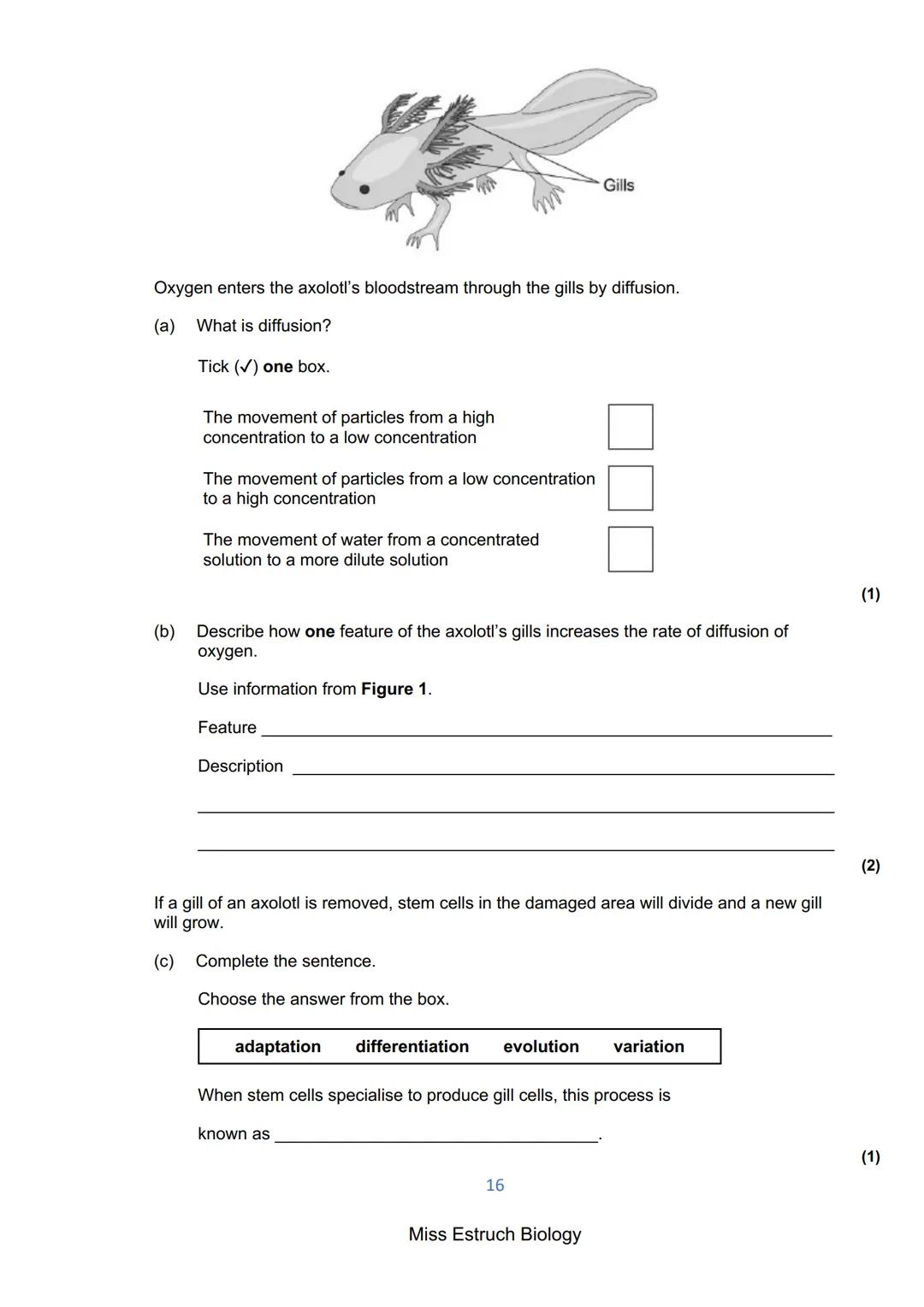 Exams 2022
GCSE Biology Higher Tier Paper 1
156 marks
miss
ESTRUCH
BIOLOGY
1
Miss Estruch Biology Q1.
This question is about cells.
(a) Figu