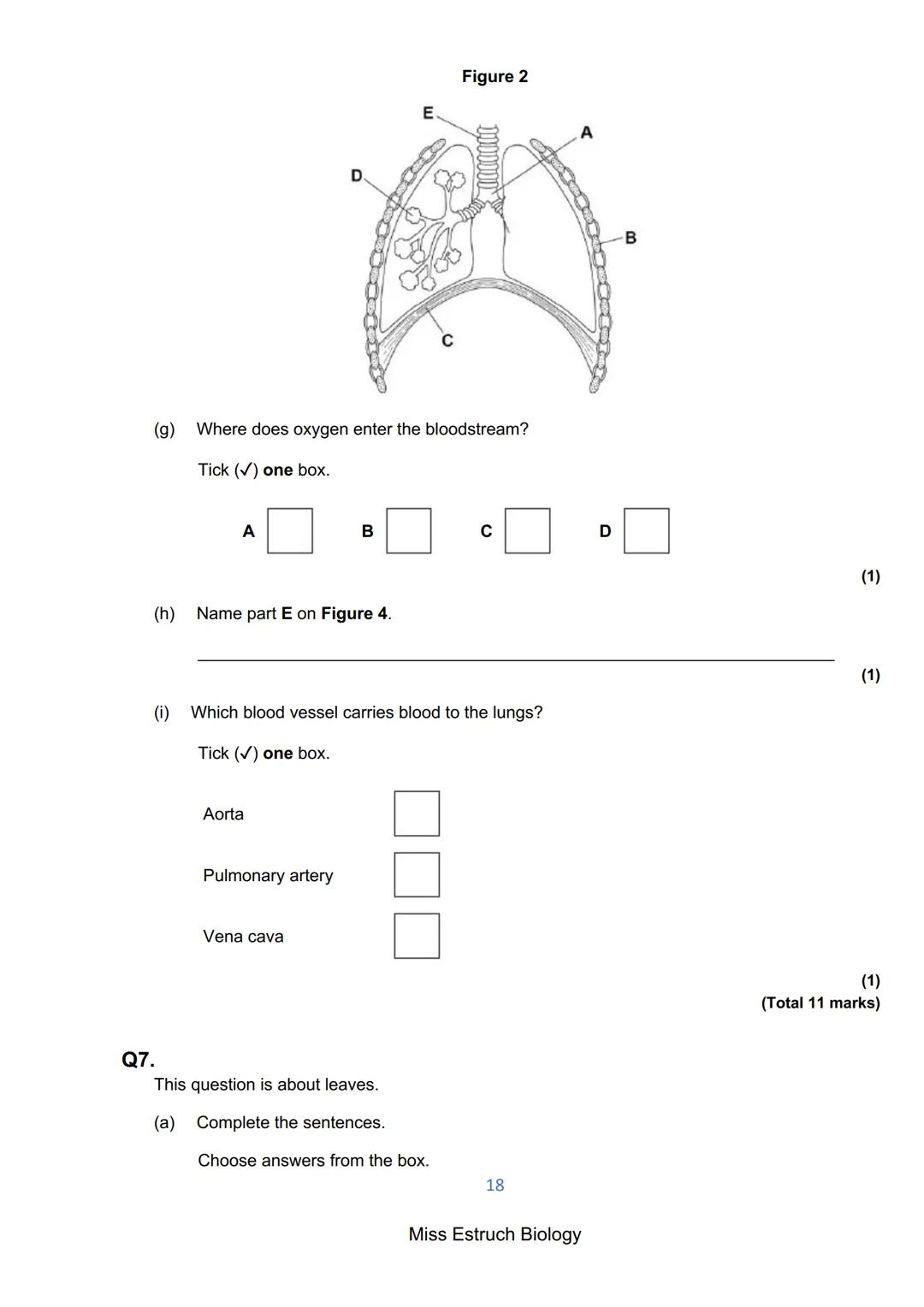 Exams 2022
GCSE Biology Higher Tier Paper 1
156 marks
miss
ESTRUCH
BIOLOGY
1
Miss Estruch Biology Q1.
This question is about cells.
(a) Figu