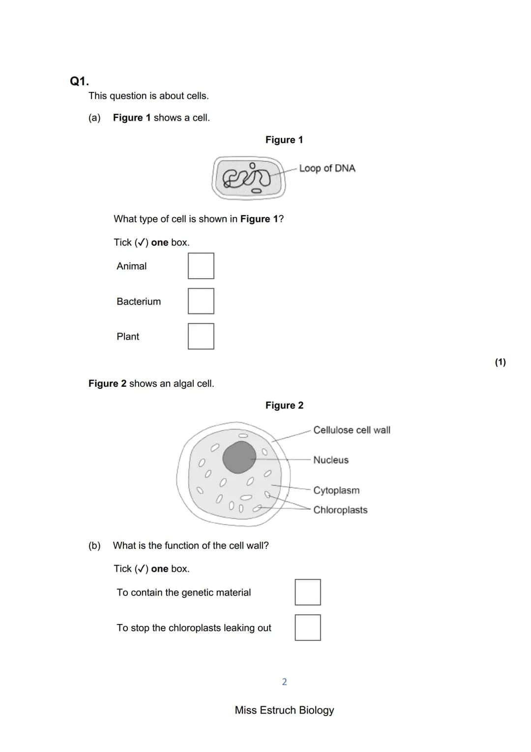 Exams 2022
GCSE Biology Higher Tier Paper 1
156 marks
miss
ESTRUCH
BIOLOGY
1
Miss Estruch Biology Q1.
This question is about cells.
(a) Figu