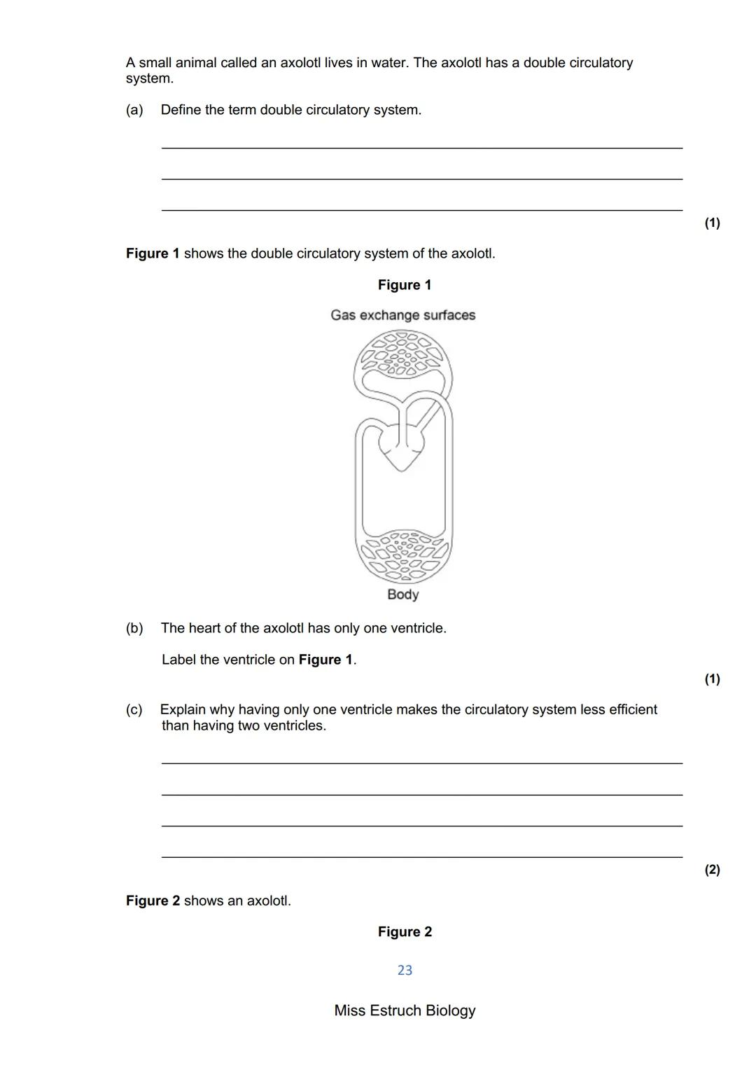 Exams 2022
GCSE Biology Higher Tier Paper 1
156 marks
miss
ESTRUCH
BIOLOGY
1
Miss Estruch Biology Q1.
This question is about cells.
(a) Figu