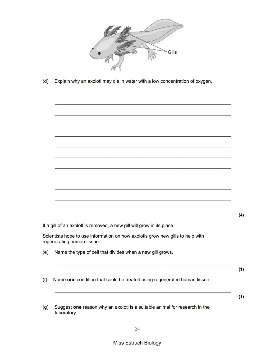 Exams 2022
GCSE Biology Higher Tier Paper 1
156 marks
miss
ESTRUCH
BIOLOGY
1
Miss Estruch Biology Q1.
This question is about cells.
(a) Figu