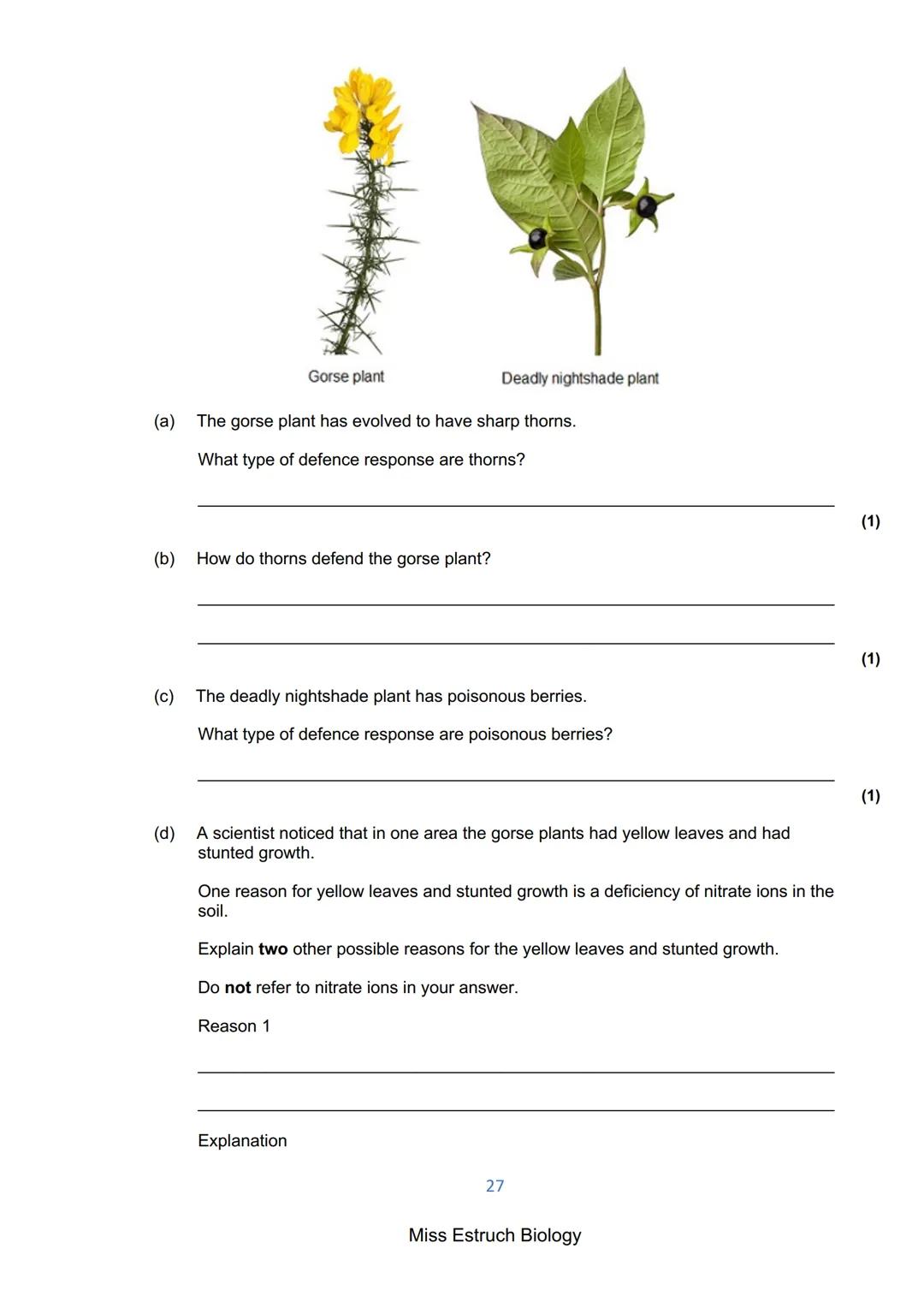 Exams 2022
GCSE Biology Higher Tier Paper 1
156 marks
miss
ESTRUCH
BIOLOGY
1
Miss Estruch Biology Q1.
This question is about cells.
(a) Figu